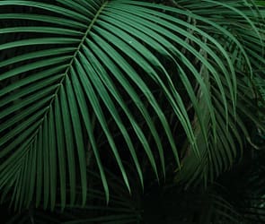 demo_image-7